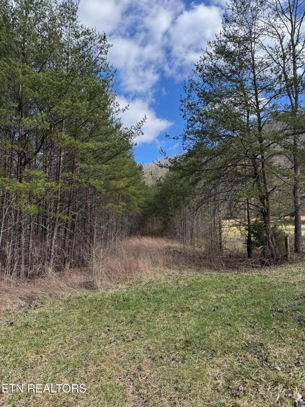 Photo of Cougar Trail 3ac, Del Rio, TN 37727 (MLS # 1294253)