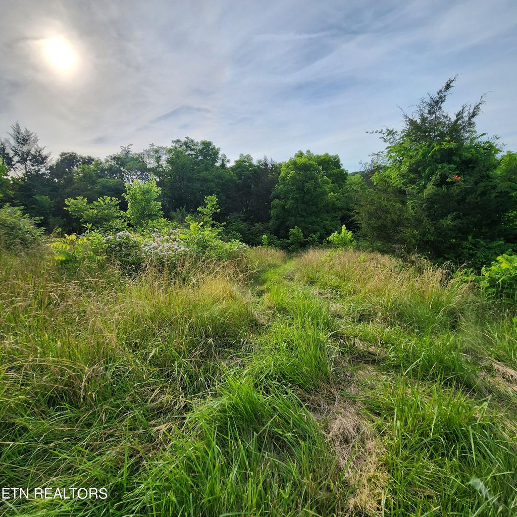 Photo of Hickory Valley Rd, Maynardville, TN 37807 (MLS # 1266284)