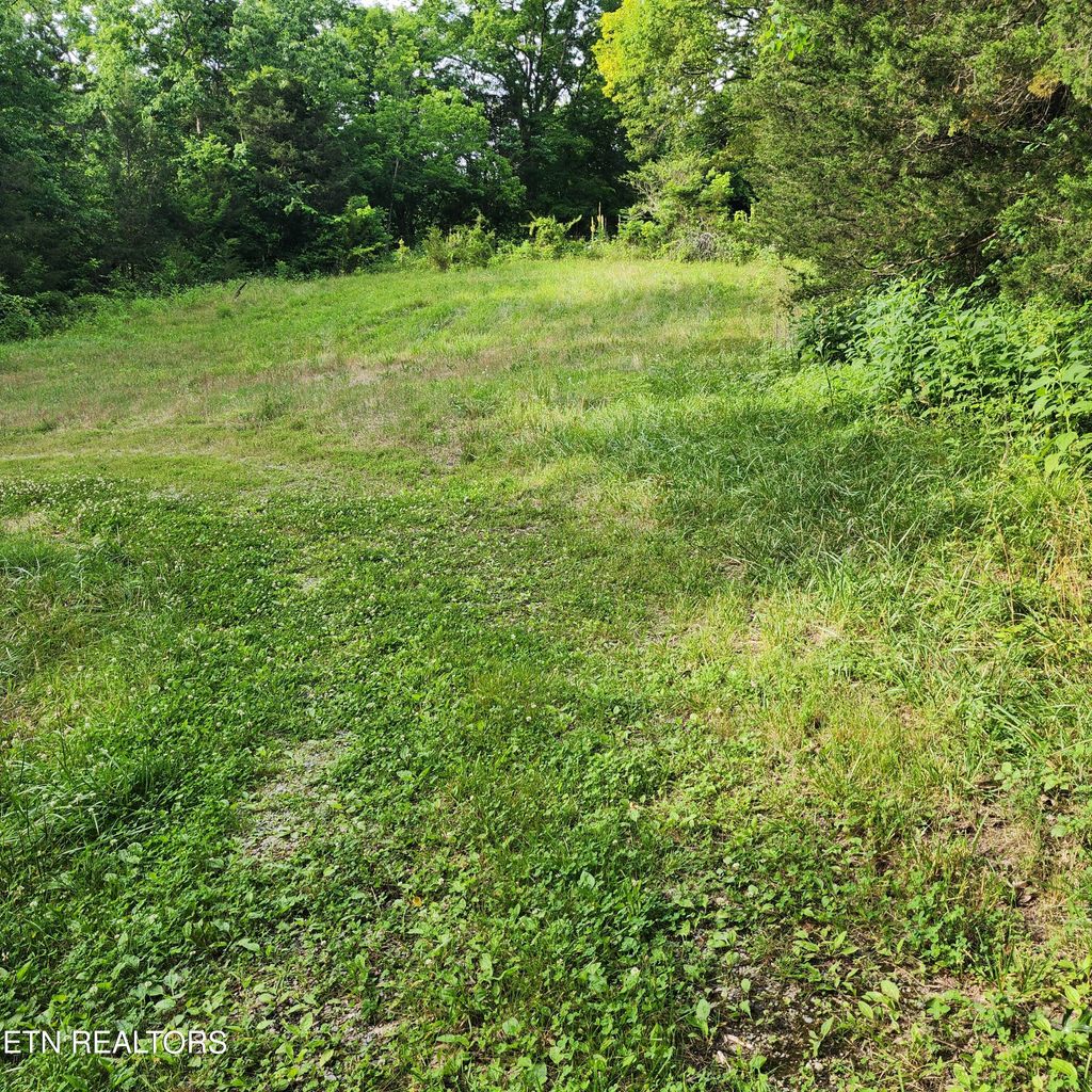 Photo of Hickory Valley Rd, Maynardville, TN 37807 (MLS # 1266284)