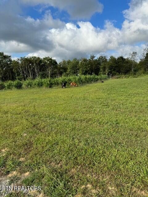 127 Rushing Springs Rd