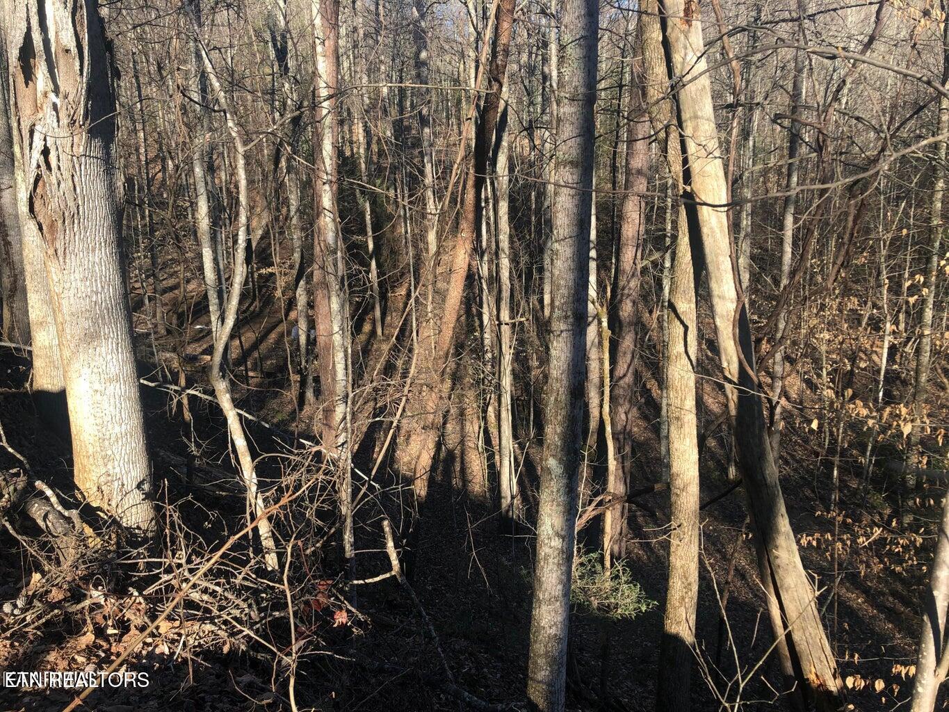 Lot 68 Yellowwood Drive