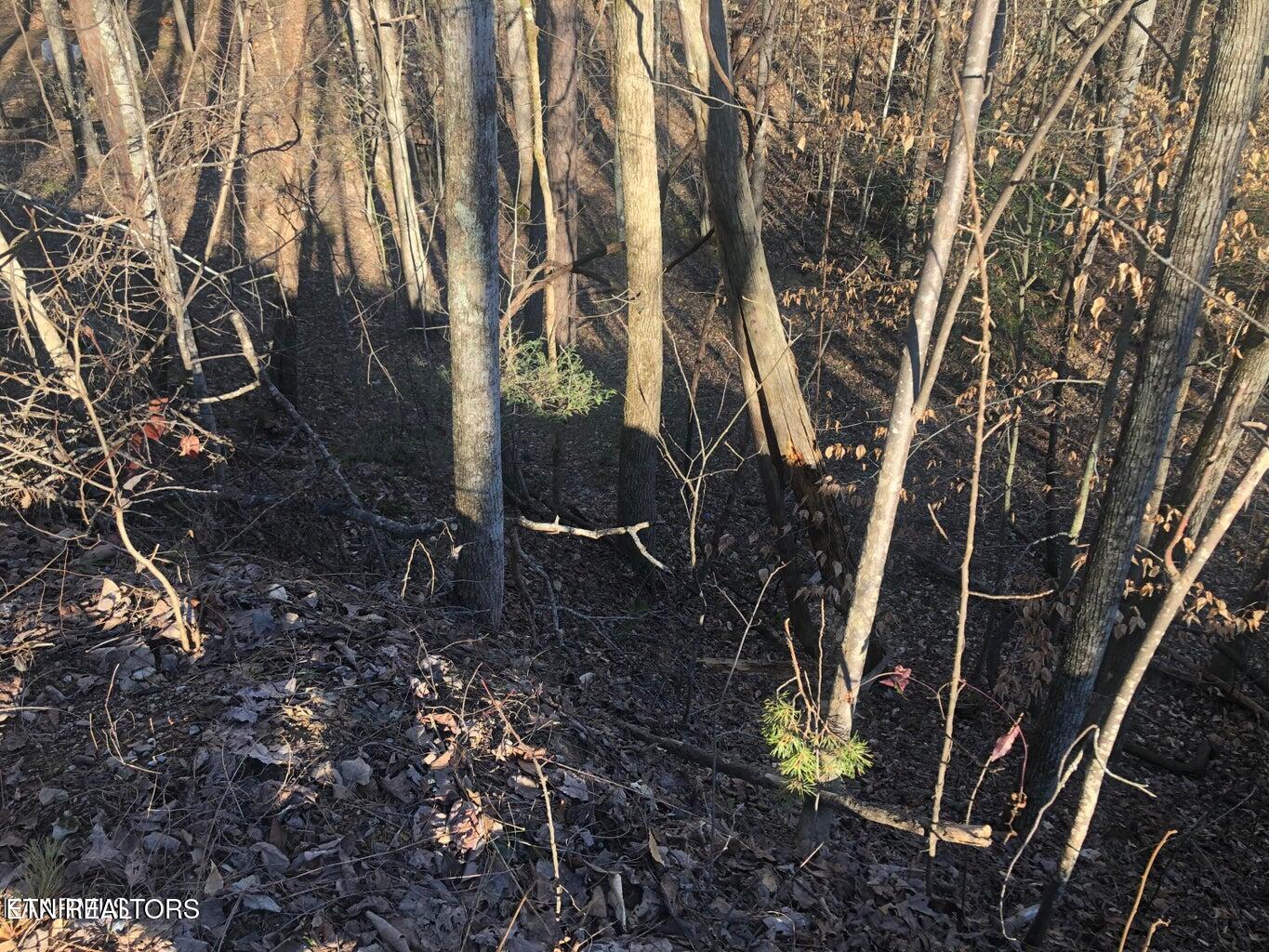 Lot 68 Yellowwood Drive