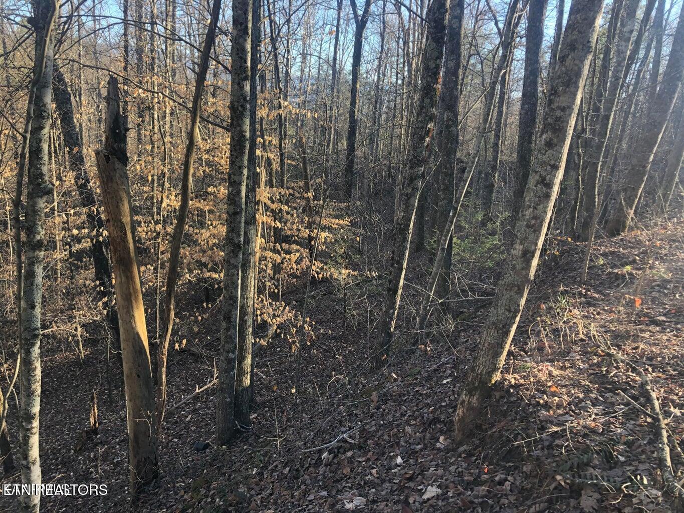 Lot 68 Yellowwood Drive