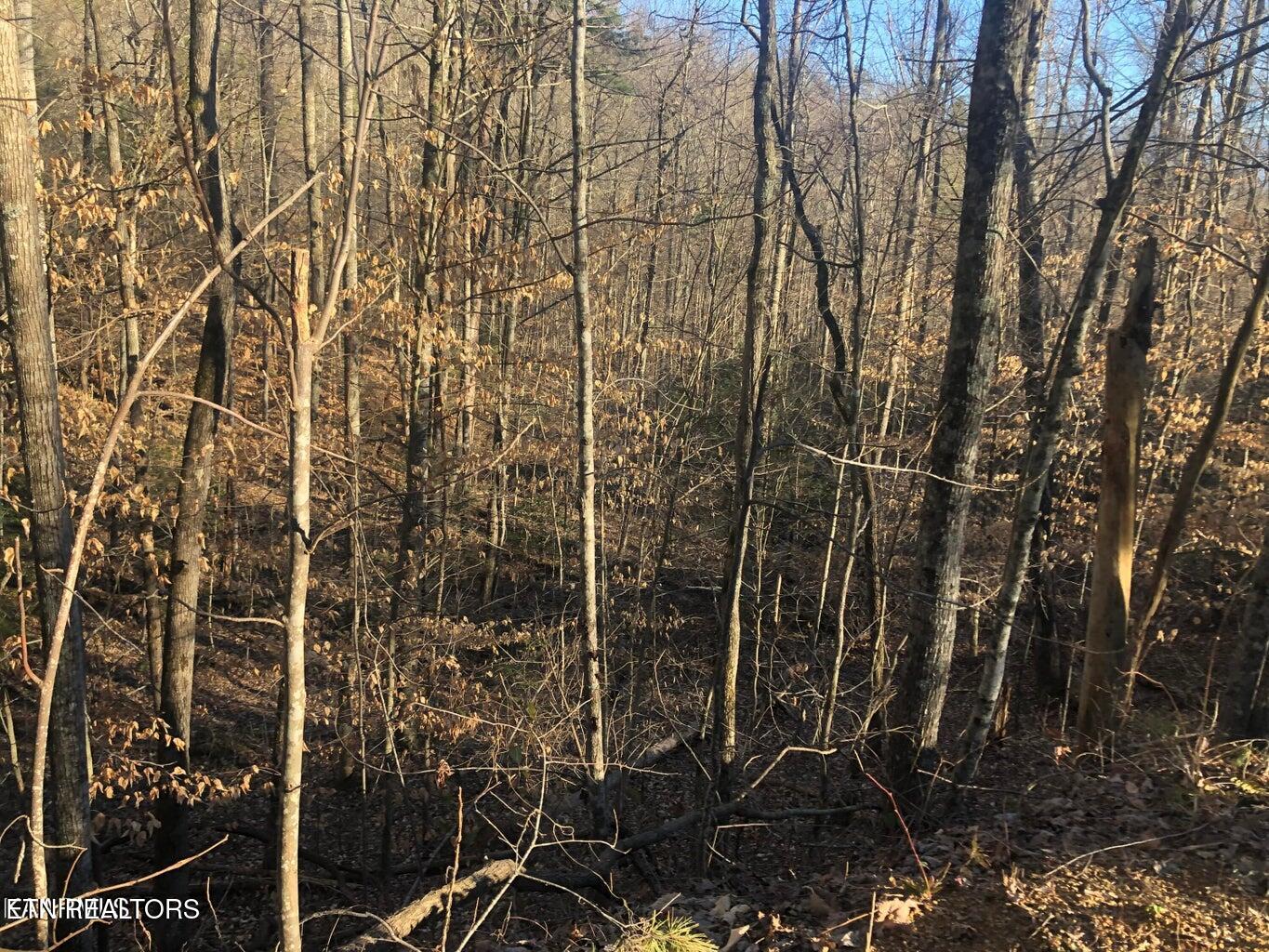 Lot 68 Yellowwood Drive
