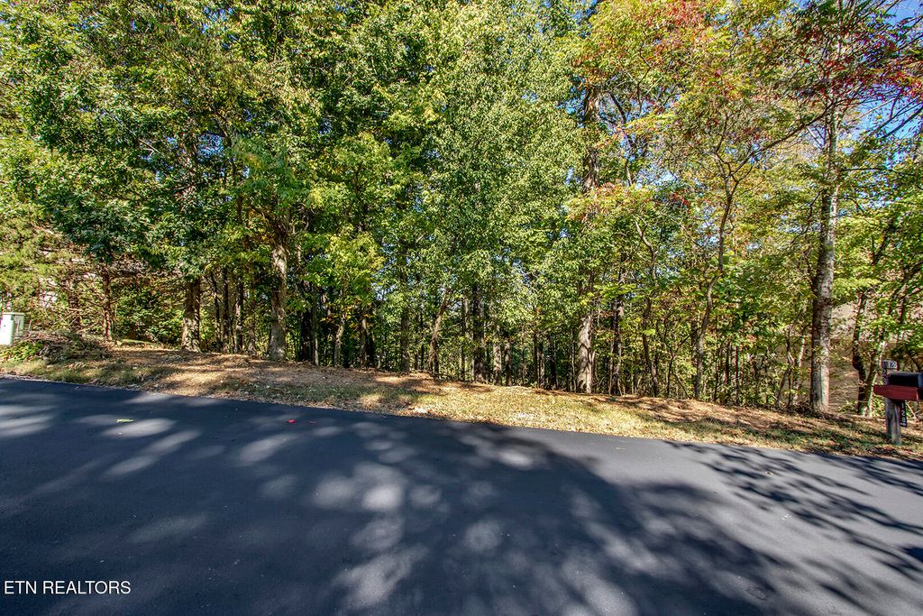 Photo of 131 Kenosha Lane, Loudon, TN 37774 (MLS # 1314904)