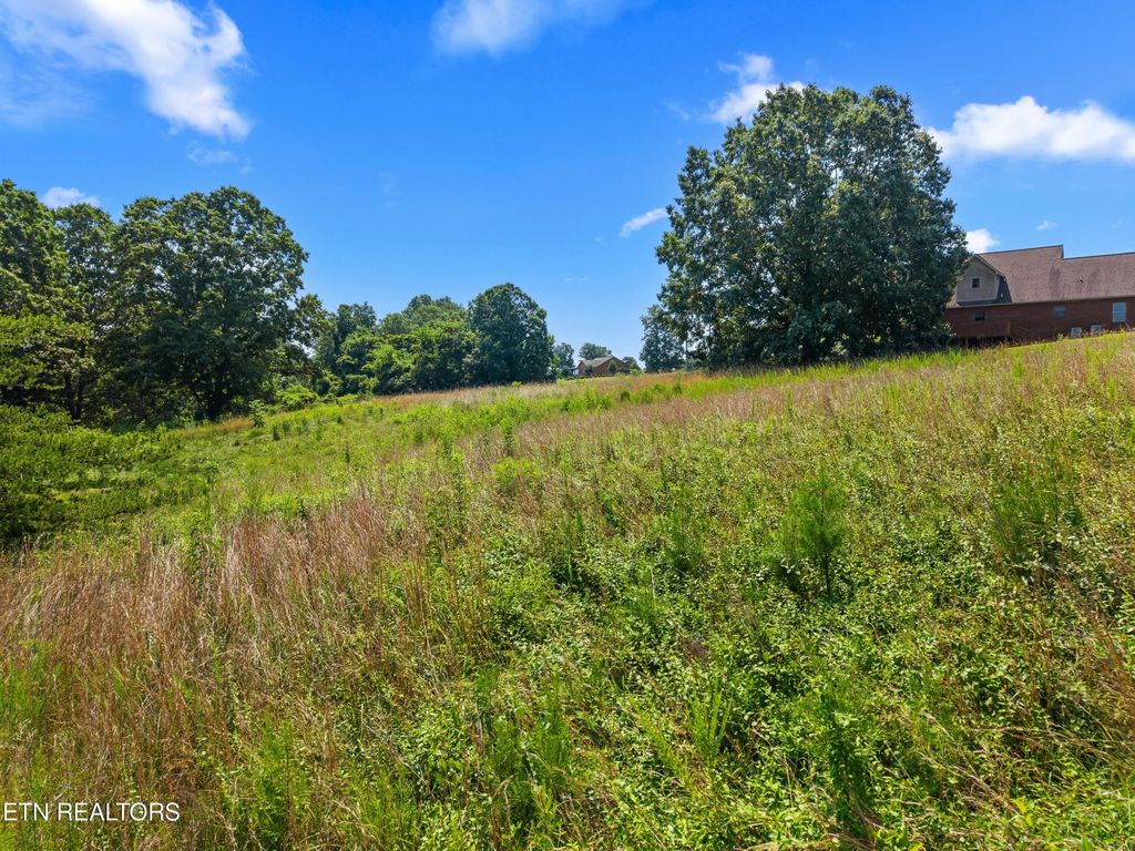 Photo of Woodstock Drive, Rutledge, TN 37861 (MLS # 1308413)