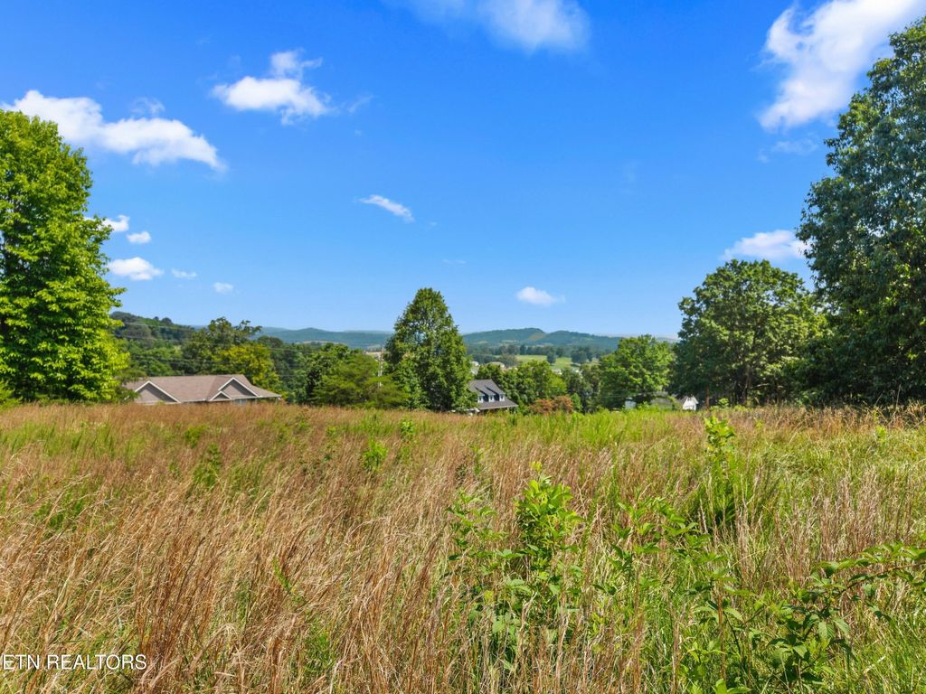 Photo of Woodstock Drive, Rutledge, TN 37861 (MLS # 1308413)