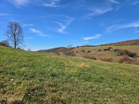 Tiny photo for 2391 Hogskin Rd, Washburn, TN 37888 (MLS # 1325845)