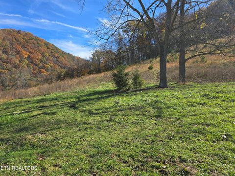 Tiny photo for 2391 Hogskin Rd, Washburn, TN 37888 (MLS # 1325845)