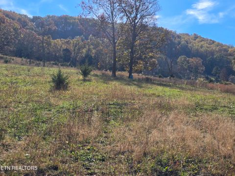 Tiny photo for 2391 Hogskin Rd, Washburn, TN 37888 (MLS # 1325845)