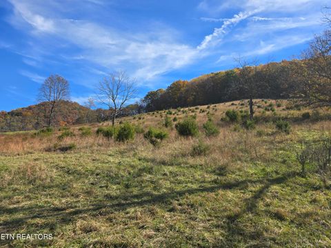 Tiny photo for 2391 Hogskin Rd, Washburn, TN 37888 (MLS # 1325845)