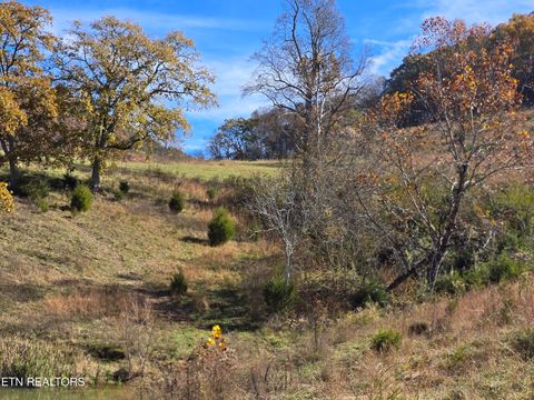 Tiny photo for 2391 Hogskin Rd, Washburn, TN 37888 (MLS # 1325845)