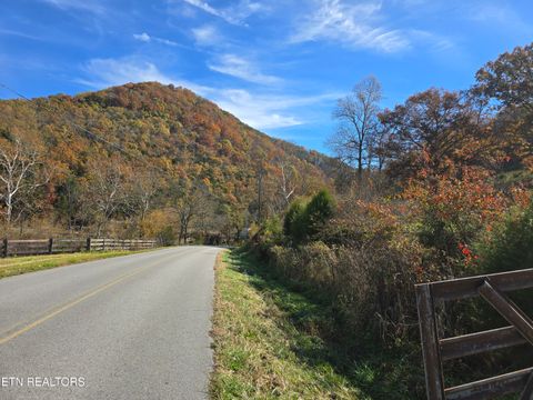 Tiny photo for 2391 Hogskin Rd, Washburn, TN 37888 (MLS # 1325845)