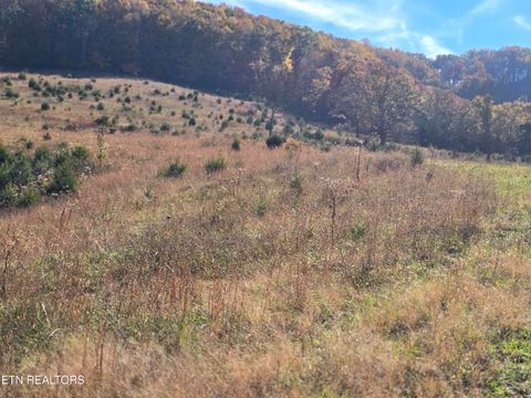 Tiny photo for 2391 Hogskin Rd, Washburn, TN 37888 (MLS # 1325845)