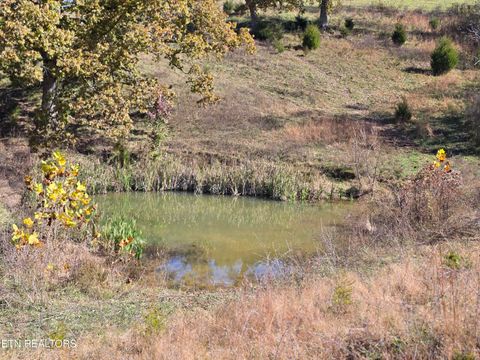 Tiny photo for 2391 Hogskin Rd, Washburn, TN 37888 (MLS # 1325845)