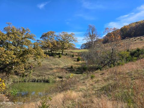 Tiny photo for 2391 Hogskin Rd, Washburn, TN 37888 (MLS # 1325845)