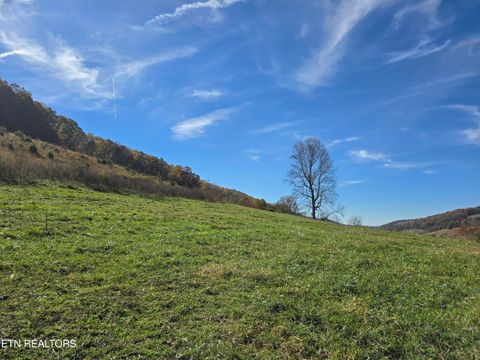 Tiny photo for 2391 Hogskin Rd, Washburn, TN 37888 (MLS # 1325845)