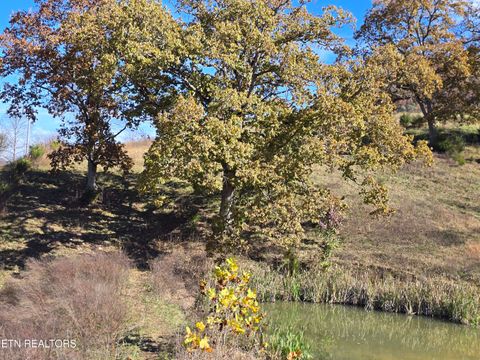 Tiny photo for 2391 Hogskin Rd, Washburn, TN 37888 (MLS # 1325845)