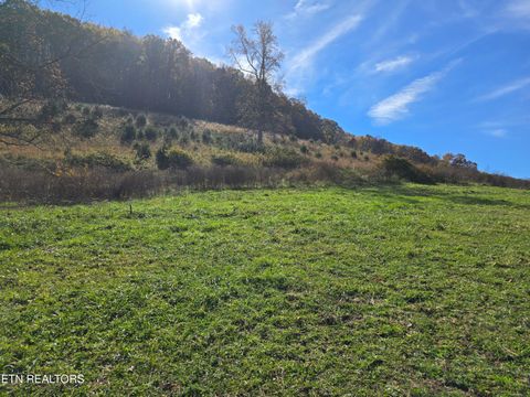 Tiny photo for 2391 Hogskin Rd, Washburn, TN 37888 (MLS # 1325845)
