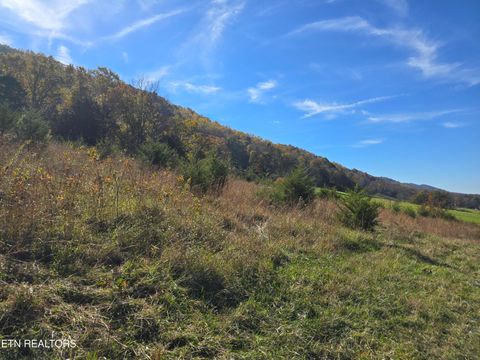 Tiny photo for 2391 Hogskin Rd, Washburn, TN 37888 (MLS # 1325845)