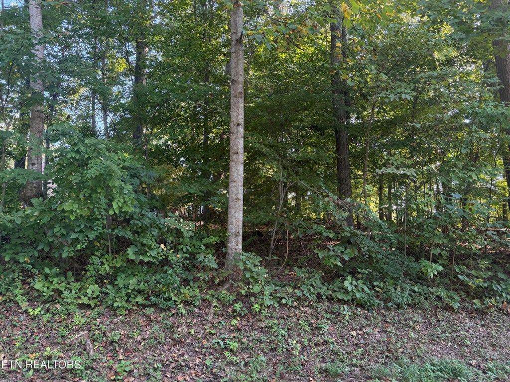 Photo of 204 Kawatuska Lane, Loudon, TN 37774 (MLS # 1355532)