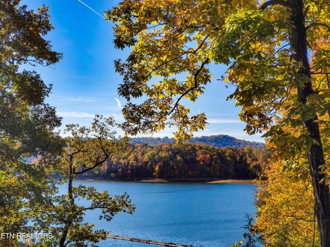 Tiny photo for 230 Jade Lane, New Tazewell, TN 37825 (MLS # 1349119)