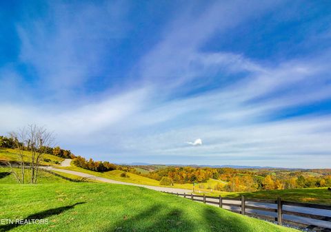Tiny photo for 230 Jade Lane, New Tazewell, TN 37825 (MLS # 1349119)