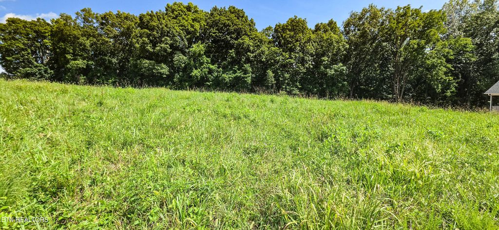 Photo of 230 Jade Lane, New Tazewell, TN 37825 (MLS # 1349119)
