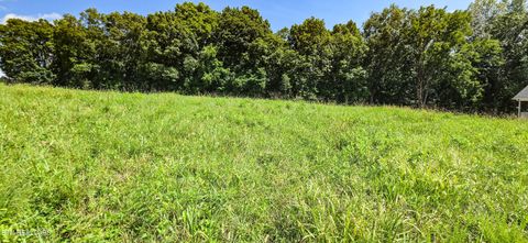 Tiny photo for 230 Jade Lane, New Tazewell, TN 37825 (MLS # 1349119)