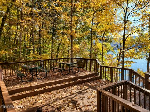 Tiny photo for 230 Jade Lane, New Tazewell, TN 37825 (MLS # 1349119)