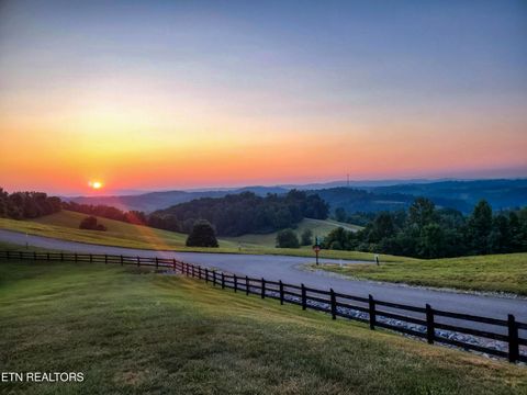 Tiny photo for 230 Jade Lane, New Tazewell, TN 37825 (MLS # 1349119)