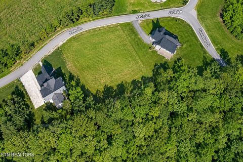 Tiny photo for 230 Jade Lane, New Tazewell, TN 37825 (MLS # 1349119)