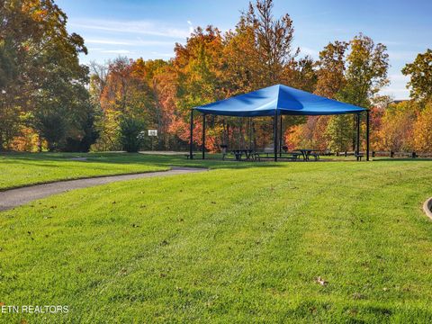 Tiny photo for 230 Jade Lane, New Tazewell, TN 37825 (MLS # 1349119)