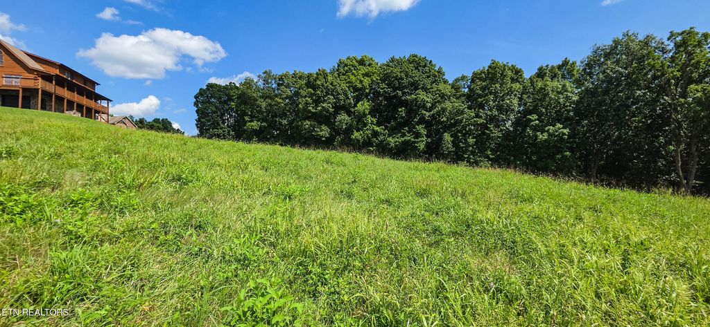 Photo of 230 Jade Lane, New Tazewell, TN 37825 (MLS # 1349119)