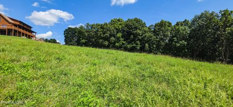 Tiny photo for 230 Jade Lane, New Tazewell, TN 37825 (MLS # 1349119)