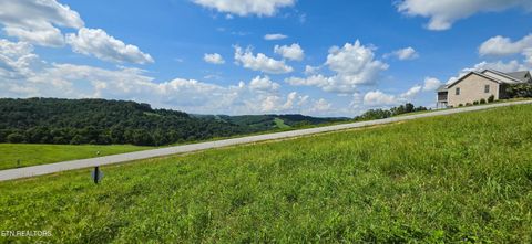 Tiny photo for 230 Jade Lane, New Tazewell, TN 37825 (MLS # 1349119)