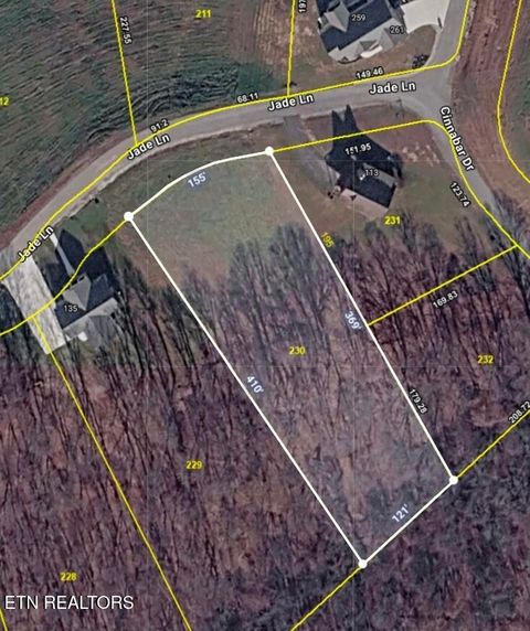 Tiny photo for 230 Jade Lane, New Tazewell, TN 37825 (MLS # 1349119)