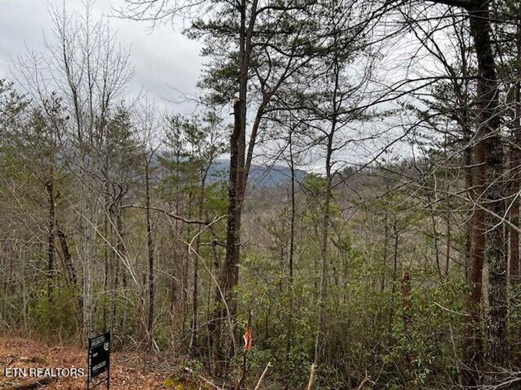 Photo of - Round Top Way, Sevierville, TN 37862 (MLS # 1328495)