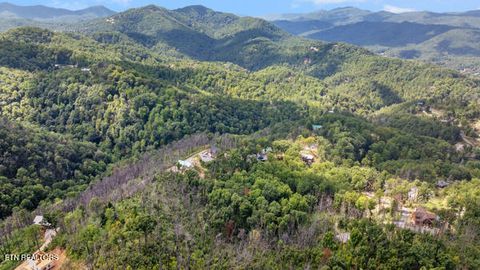 Tiny photo for Phase B Crown Circle, Sevierville, TN 37862 (MLS # 1332773)