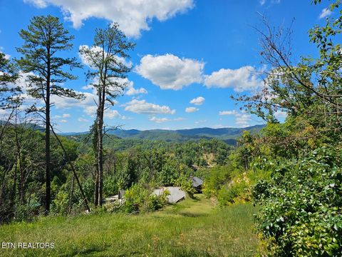 Tiny photo for Phase B Crown Circle, Sevierville, TN 37862 (MLS # 1332773)