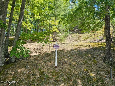 Tiny photo for Phase B Crown Circle, Sevierville, TN 37862 (MLS # 1332773)
