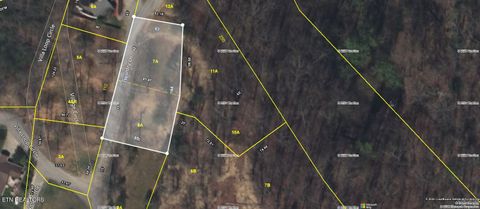 Tiny photo for Phase B Crown Circle, Sevierville, TN 37862 (MLS # 1332773)