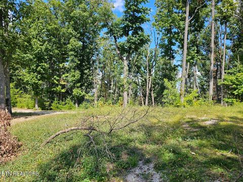 Tiny photo for Phase B Crown Circle, Sevierville, TN 37862 (MLS # 1332773)