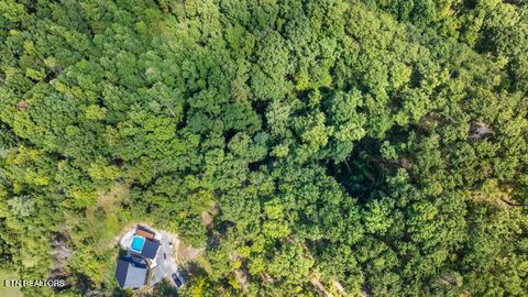 Tiny photo for Phase B Crown Circle, Sevierville, TN 37862 (MLS # 1332773)