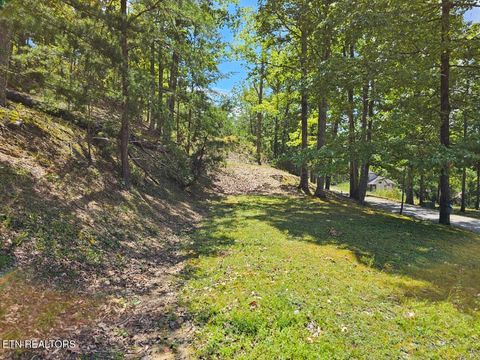 Tiny photo for Phase B Crown Circle, Sevierville, TN 37862 (MLS # 1332773)