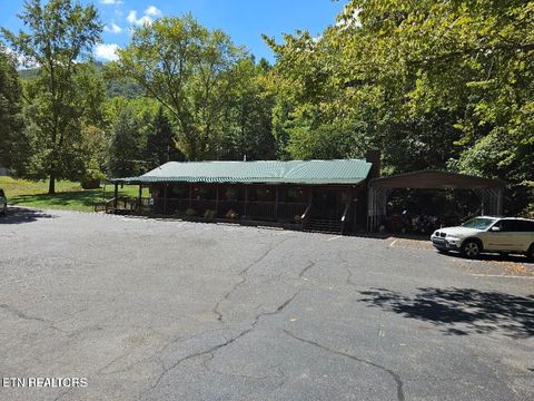 Tiny photo for Phase B Crown Circle, Sevierville, TN 37862 (MLS # 1332773)