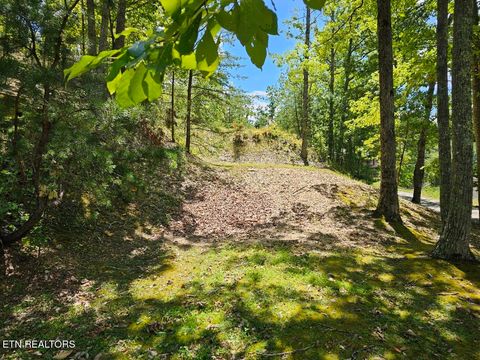 Tiny photo for Phase B Crown Circle, Sevierville, TN 37862 (MLS # 1332773)