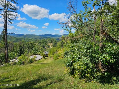 Tiny photo for Phase B Crown Circle, Sevierville, TN 37862 (MLS # 1332773)