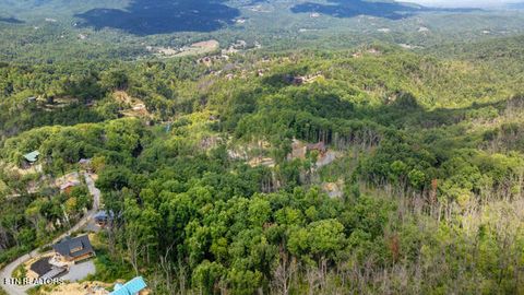 Tiny photo for Phase B Crown Circle, Sevierville, TN 37862 (MLS # 1332773)