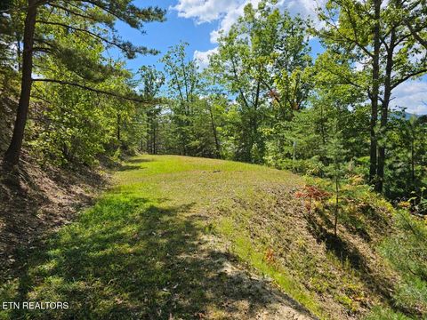 Tiny photo for Phase B Crown Circle, Sevierville, TN 37862 (MLS # 1332773)